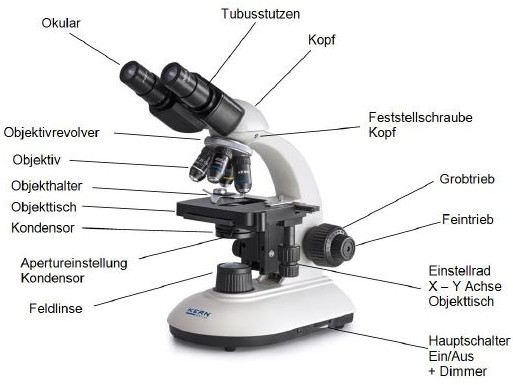 Diagramm Aufbau Mikroskop